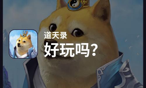  道天录好玩吗