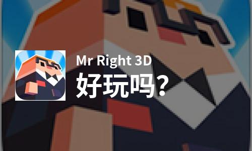  Mr Right 3D好玩吗