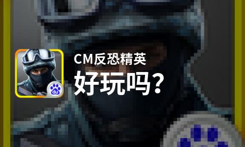  CM反恐精英好玩吗