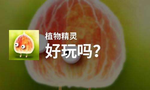  植物精灵好玩吗