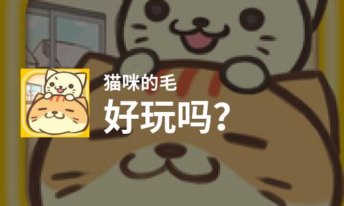  猫咪的毛好玩吗