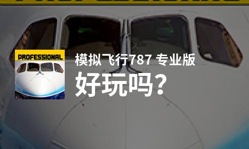 模拟飞行787 专业版好玩吗？模拟飞行787 专业版好不好玩评测