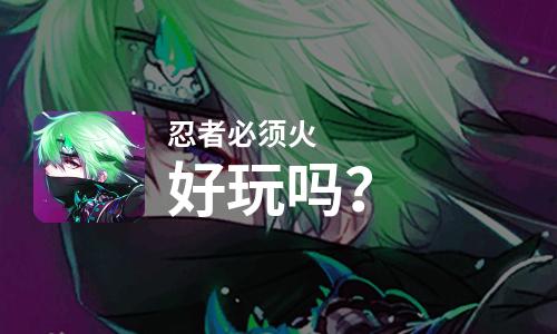  忍者必须火好玩吗