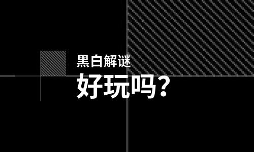 黑白解谜好玩吗？黑白解谜好不好玩评测