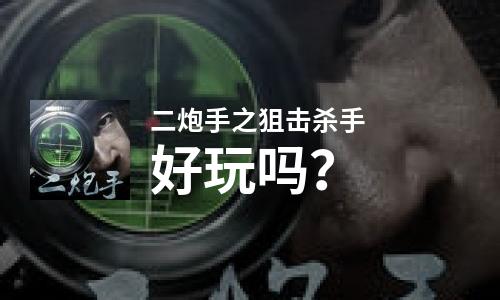  二炮手之狙击杀手好玩吗