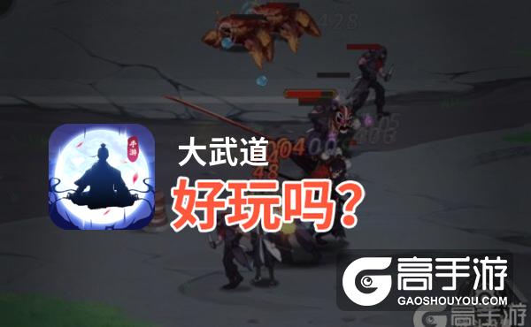 大武道好玩吗