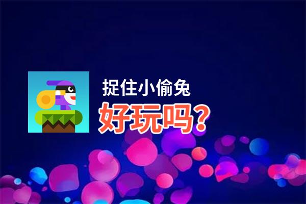 捉住小偷兔好玩吗？捉住小偷兔好不好玩评测