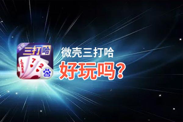 微壳三打哈好玩吗？微壳三打哈好不好玩评测