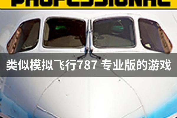 类似模拟飞行787 专业版的游戏