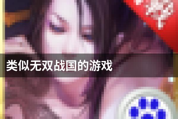 类似无双战国的游戏