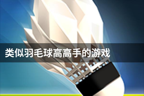 类似羽毛球高高手的游戏