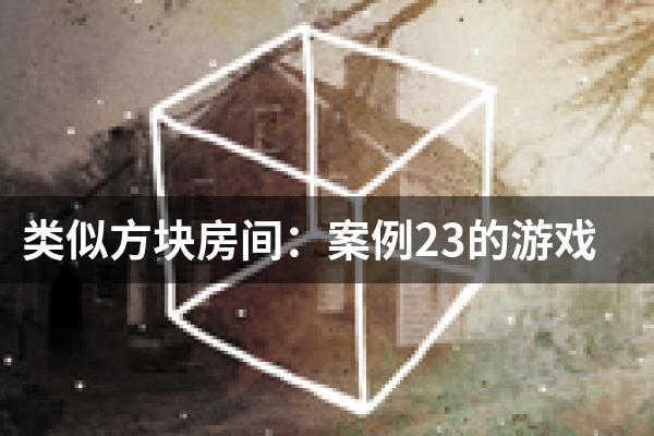 类似方块房间：案例23的游戏