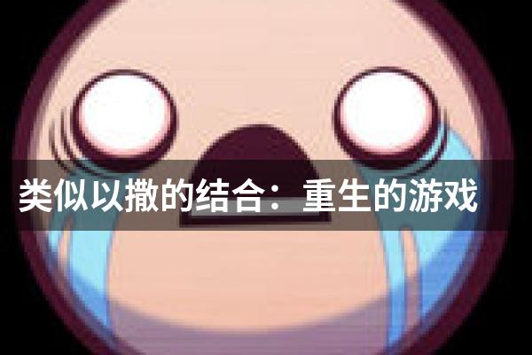 类似以撒的结合：重生的游戏
