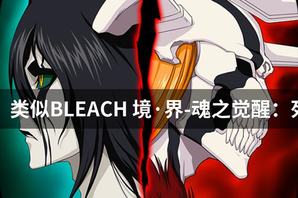 类似BLEACH 境·界-魂之觉醒：死神的游戏