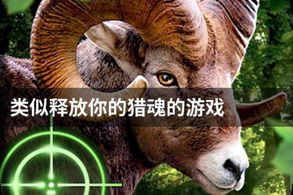 类似释放你的猎魂的游戏