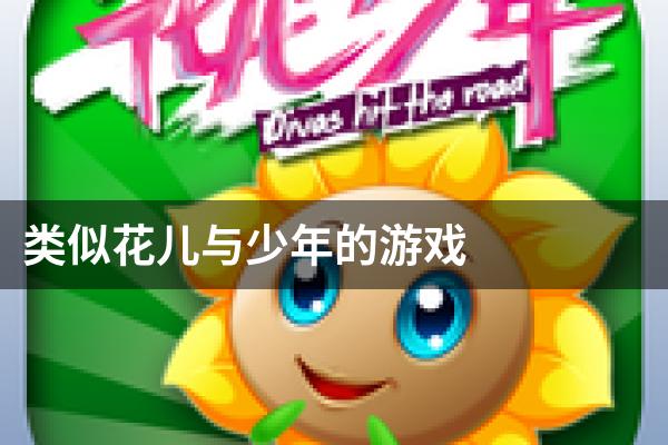 类似花儿与少年的游戏