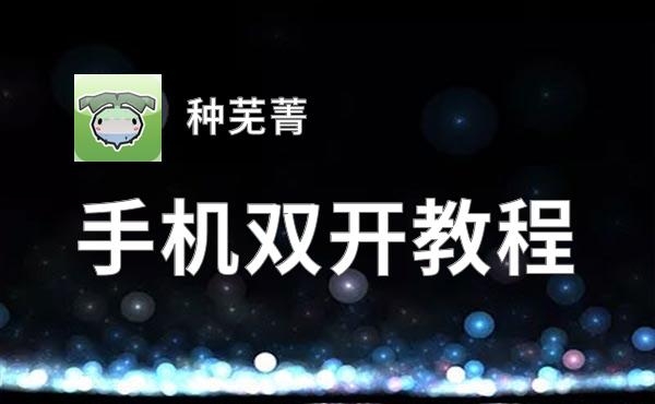 怎么双开种芜菁？ 种芜菁双开挂机图文全攻略