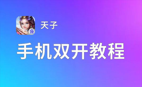 有没有天子双开软件推荐 深度解答如何双开天子