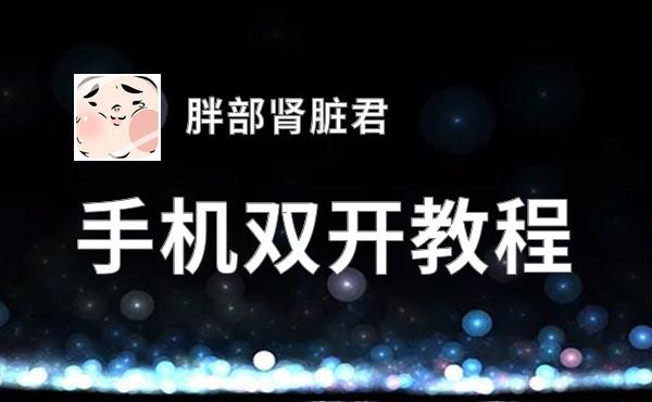 胖部肾脏君如何双开 2020最新双开神器来袭
