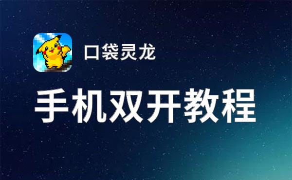 怎么双开口袋灵龙？ 口袋灵龙双开挂机图文全攻略