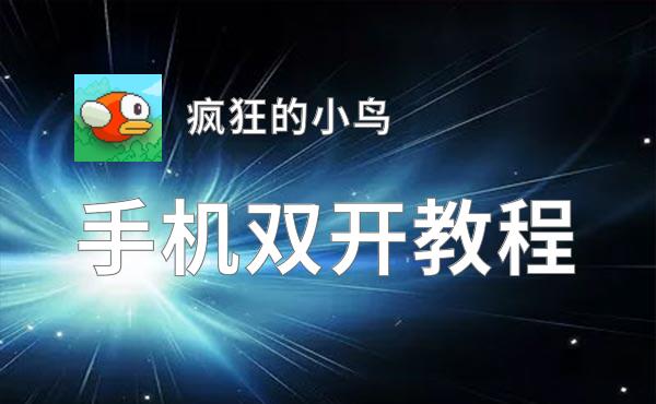 疯狂的小鸟双开挂机软件盘点 2020最新免费疯狂的小鸟双开挂机神器推荐