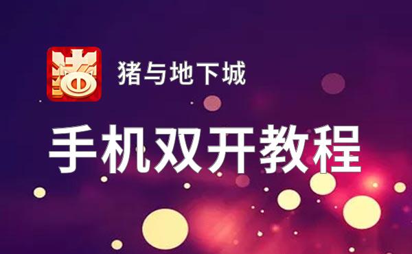 猪与地下城双开挂机软件盘点 2021最新免费猪与地下城双开挂机神器推荐