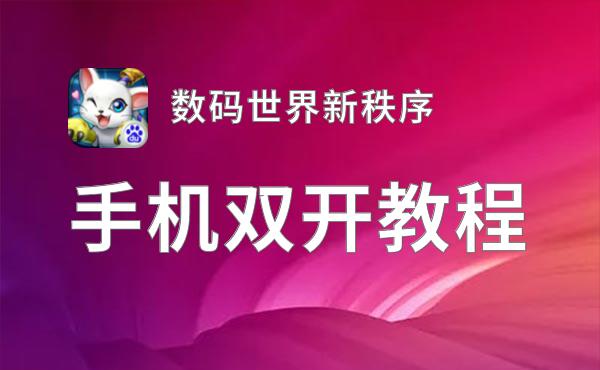 数码世界新秩序如何双开 2021最新双开神器来袭