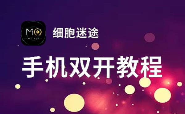 细胞迷途双开神器 轻松一键搞定细胞迷途挂机双开