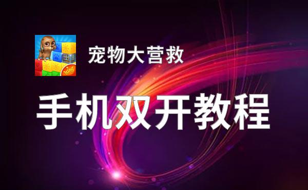 怎么双开宠物大营救？ 宠物大营救双开挂机图文全攻略