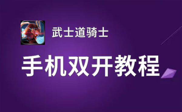 武士道骑士如何双开 2020最新双开神器来袭