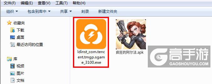  疯狂的阿尔法电脑版安装程序