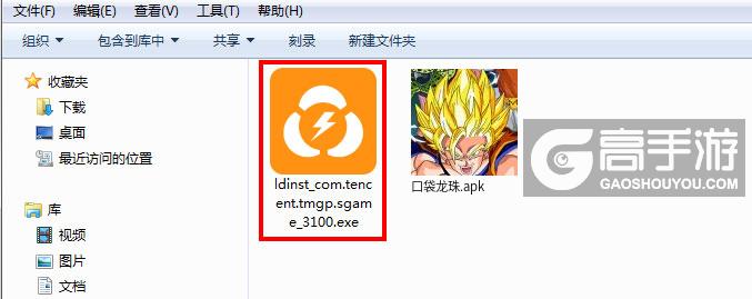  口袋龙珠电脑版安装程序