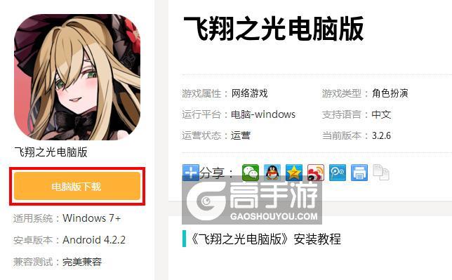  飞翔之光电脑版下载