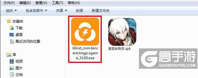  爱丽丝秩序电脑版安装程序