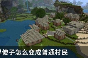 我的世界傻子怎么变成普通村民