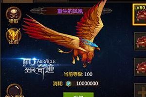 全民奇迹宠物选择分析