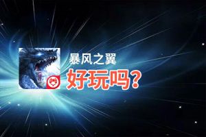 暴风之翼好玩吗？暴风之翼好不好玩评测