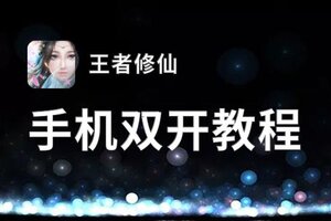 有没有王者修仙双开软件推荐 深度解答如何双开王者修仙