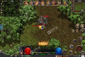 《血饮龙纹》新服终于来了  新老玩家迎官方版共享多重福利