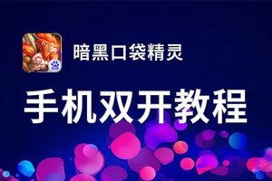 暗黑口袋精灵双开软件推荐 全程免费福利来袭