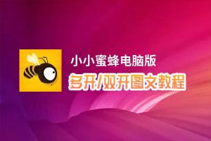 小小蜜蜂怎么双开、多开？小小蜜蜂双开助手工具下载安装教程
