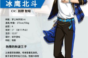 热情的秋波王子《偶像梦幻祭2》冰鹰北斗档案公开