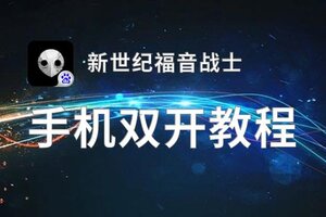 新世纪福音战士怎么双开  新世纪福音战士双开挂机软件推荐