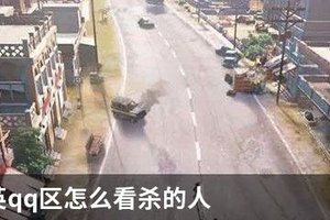 和平精英qq区怎么看杀的人