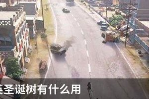 和平精英圣诞树有什么用