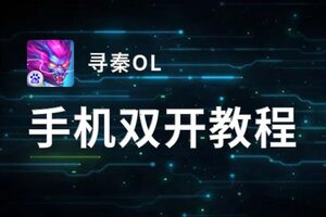 寻秦OL双开挂机软件推荐  怎么双开寻秦OL详细图文教程