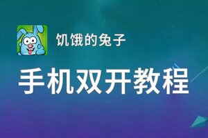 饥饿的兔子双开神器 轻松一键搞定饥饿的兔子挂机双开