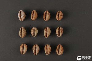 博物偃武丨一枚海贝，串联起古滇国的财富与三国的文明脉络