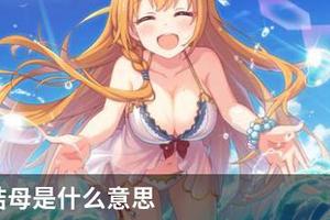 公主连结母是什么意思