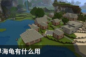 我的世界海龟有什么用